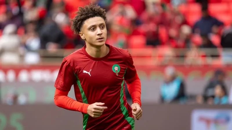 开云-点赞塞内加尔球员庆祝非洲杯夺冠，多名摩洛哥国脚公开道歉